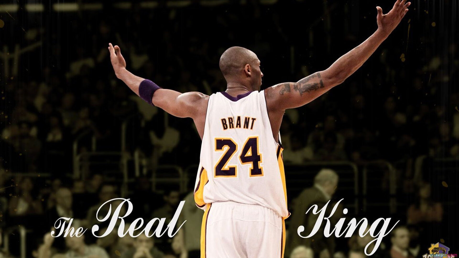 开云体育中国官网-跨界绝杀，当利拉德空降CBA，福建队如何完成惊天逆袭？